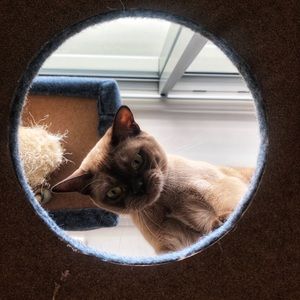 Meet your Posher, Ingrid